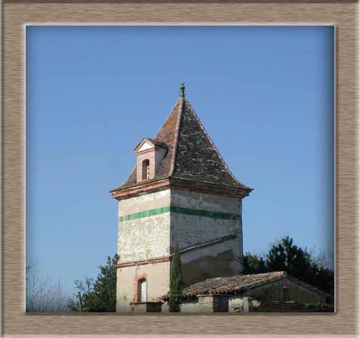 image7
